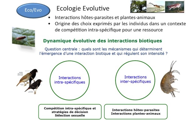 Equipe EcoEvo