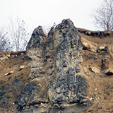 Dépôts microbiens oligo-miocènes du bassin des Limagnes