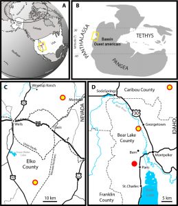 Carte des localités fossiles du Paris Biota. (A) Carte illustrant la position actuelle du bassin Ouest américain. (B) Carte paléogéographique du Trias illustrant la position du bassin Ouest américain à l’époque. (C) Carte du nord-est du Nevada. (D) Carte du sud-est de l’Idaho. Les points jaunes représentent les nouveaux sites fossilifères. Le point rouge correspond au premier site ayant dévoilé le Paris Biota en 2017.