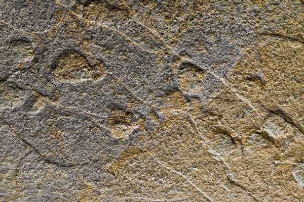 Grotte de Castelbouc (Lozère), plafond portant plusieurs pistes de dinosaures. Les empreintes de pas mesurent jusqu'à 1,30 m de longueur. Crédit : Rémi Flament