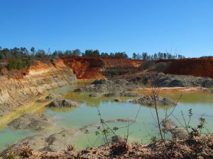 Affleurement couvrant le Miocène inférieur (Chipola Formation) en Floride (carrière de Willacoochee, USA)