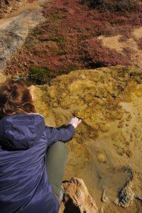 Sampling collection of microbial mats in a cascade-pool system from a hypesaine environment in February 2017 (Sabkha Oum Dba, Laayoune, Morocco)