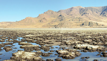 Dépôts microbiens actuels et anciens, North Mormon Rocks (USA)/Modern and fossil microbial deposits, North Mormon Rocks (USA)