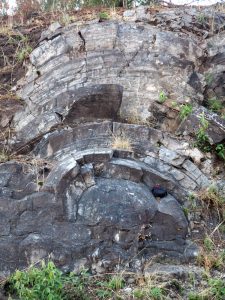 Archean giant stromatolite from the Campbellrand-Malmani carbonate platform, South Africa