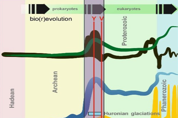 Figure 1. (a) Key trends in Earth history reveal that early Paleoproterozoic time archives the largest step changes in ocean-atmosphere redox accompanied by the greatest ever perturbation of the C cycle and the rise of eukaryotes (after Lyons et al. 2014). Y, V – Yarrabubba and Vredefort impact events. (b) The Francevillian succession spans the time interval of many of these events as shown by their known (marked with “ ”) and potential (marked with “?”) preservation therein.